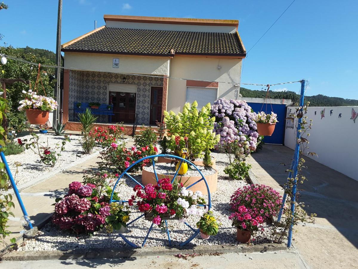 Ranch Lau&Ri Nazare Apartman Cela Velha Kültér fotó