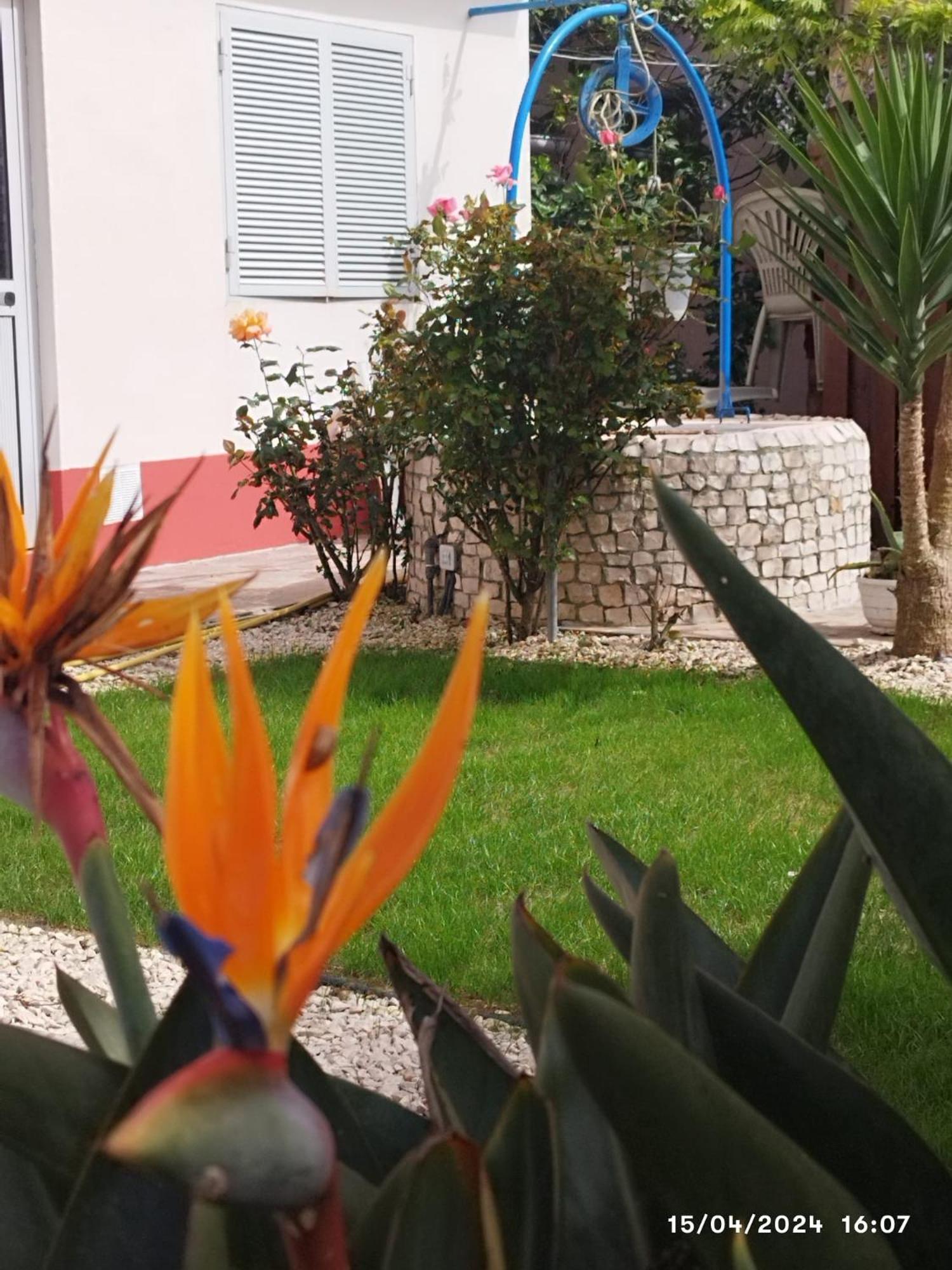 Ranch Lau&Ri Nazare Apartman Cela Velha Kültér fotó